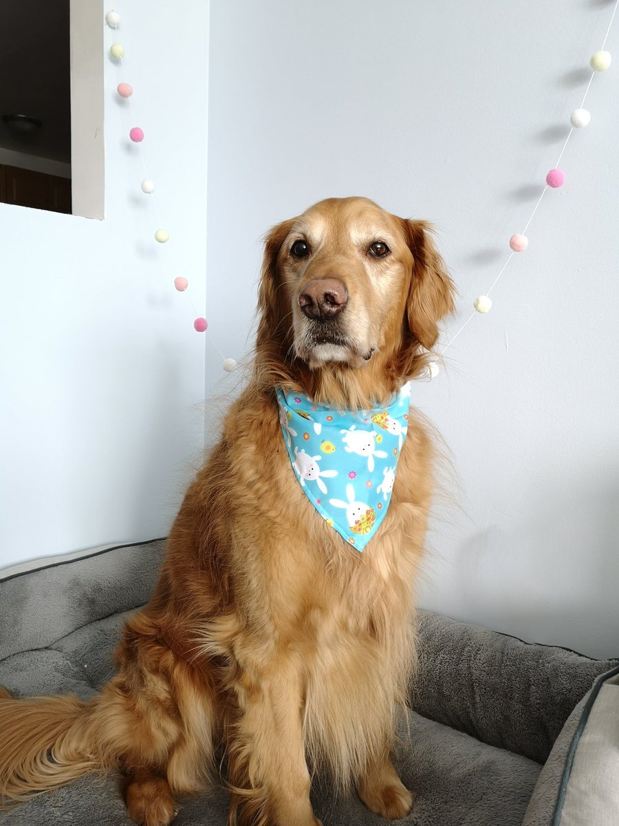 Instant Vincent tweet media