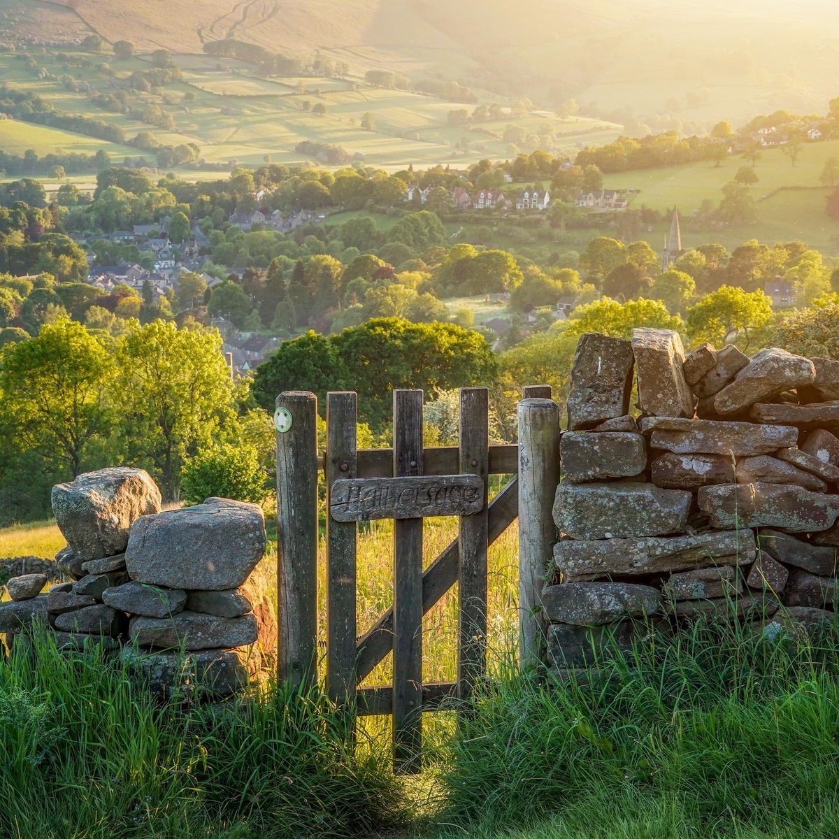 peaklass tweet media