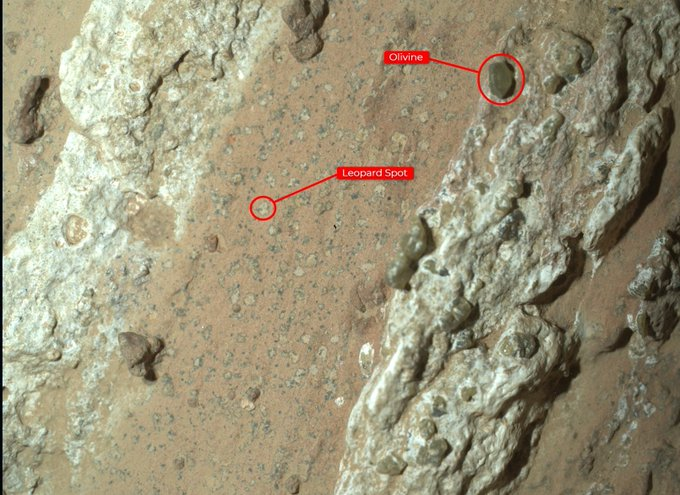 estelsiplanetes's tweet photo. Aquesta roca, trobada a Mart pel robot Perseverance fa uns dies, podria ser la pista més important sobre l'existència de vida passada en el planeta roig.
A la Terra, marques similars amb ferro i fòsfor són indicatives de vida. Percy, a més, hi ha detectat compostos orgànics.
Cal ser prudents, i més en una qüestió com aquesta. Les mostres hauran de ser analitzades a la Terra per poder confirmar res.