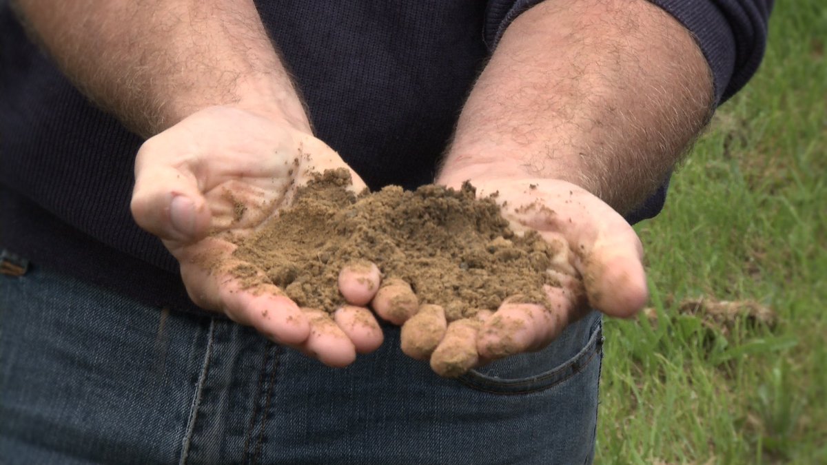 Día 485. Propósito de verano: Meditar, resumir y desarrollar lo que aprendido y percibido en los últimos 10 años como lo verdaderamente importante del mundo del champagne. Con un deseo principal, compartirlo en persona con amigos durante los próximos meses en diferentes ciudades