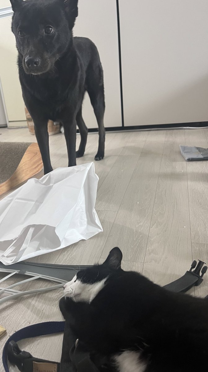 오늘도(안 올린 날도 항상)