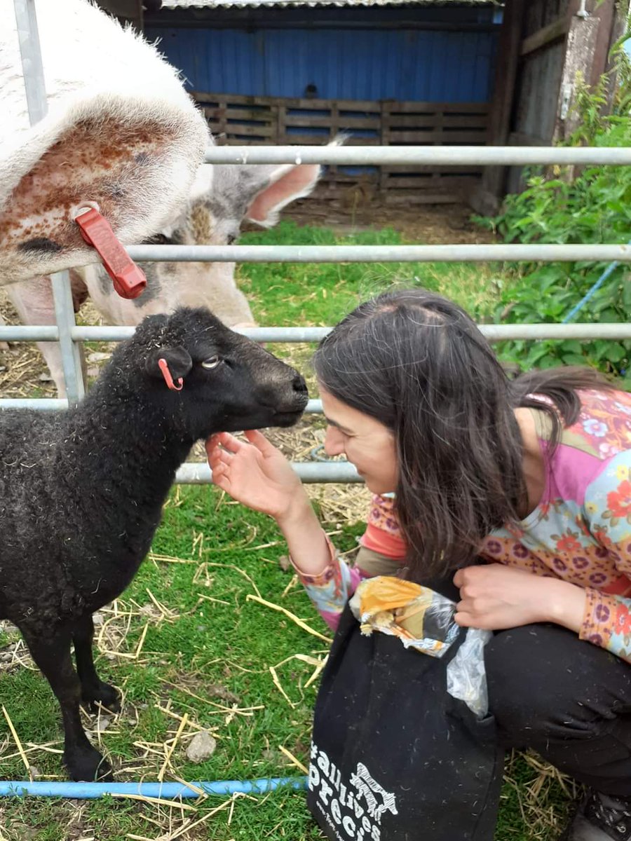 FARS_sanctuary tweet media