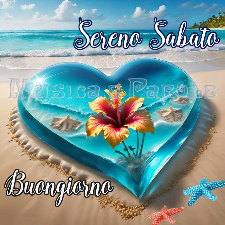 RITABIANCHi56 tweet media