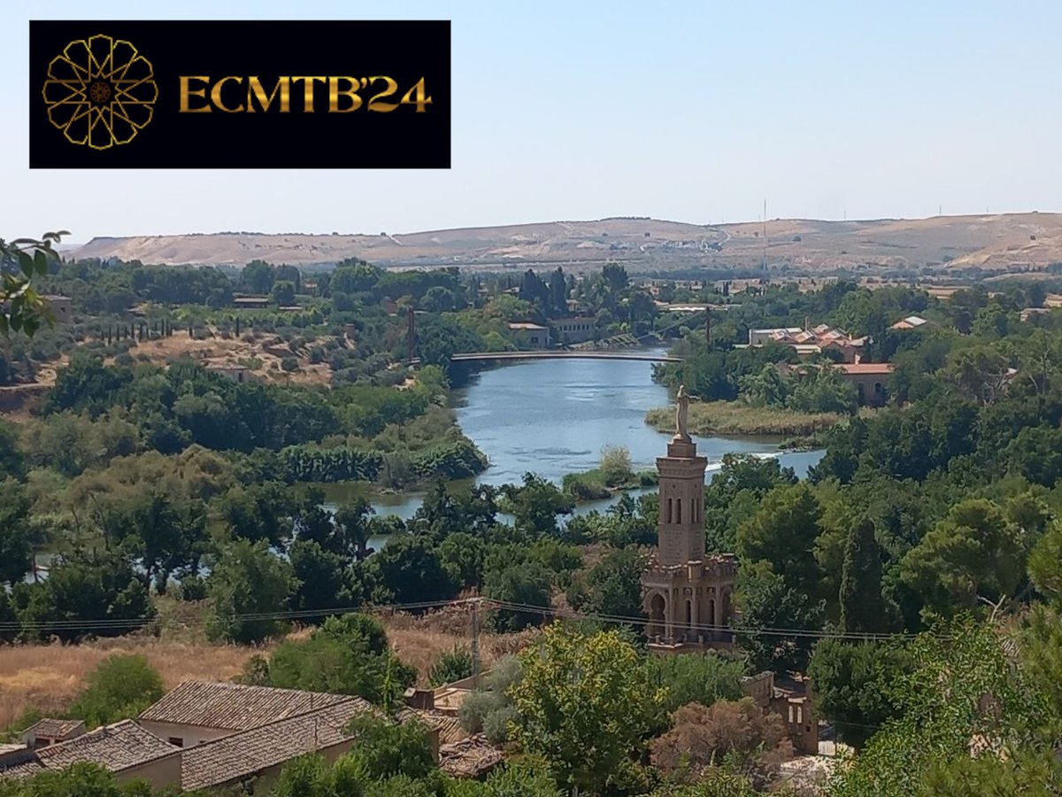 Social And Myrmecophilous Insects (@antswarsaw) on Twitter photo We're thrilled that our team was represented at the <a href="/ecmtb2024/">ECMTB 2024</a> in the beautiful city of Toldeo, where we presented research on the hunting behavior of social spiders. It was a great event filled with interesting discussions and valuable learning! #ScienceConference #Research We're thrilled that our team was represented at the <a href="/ecmtb2024/">ECMTB 2024</a> in the beautiful city of Toldeo, where we presented research on the hunting behavior of social spiders. It was a great event filled with interesting discussions and valuable learning! #ScienceConference #Research