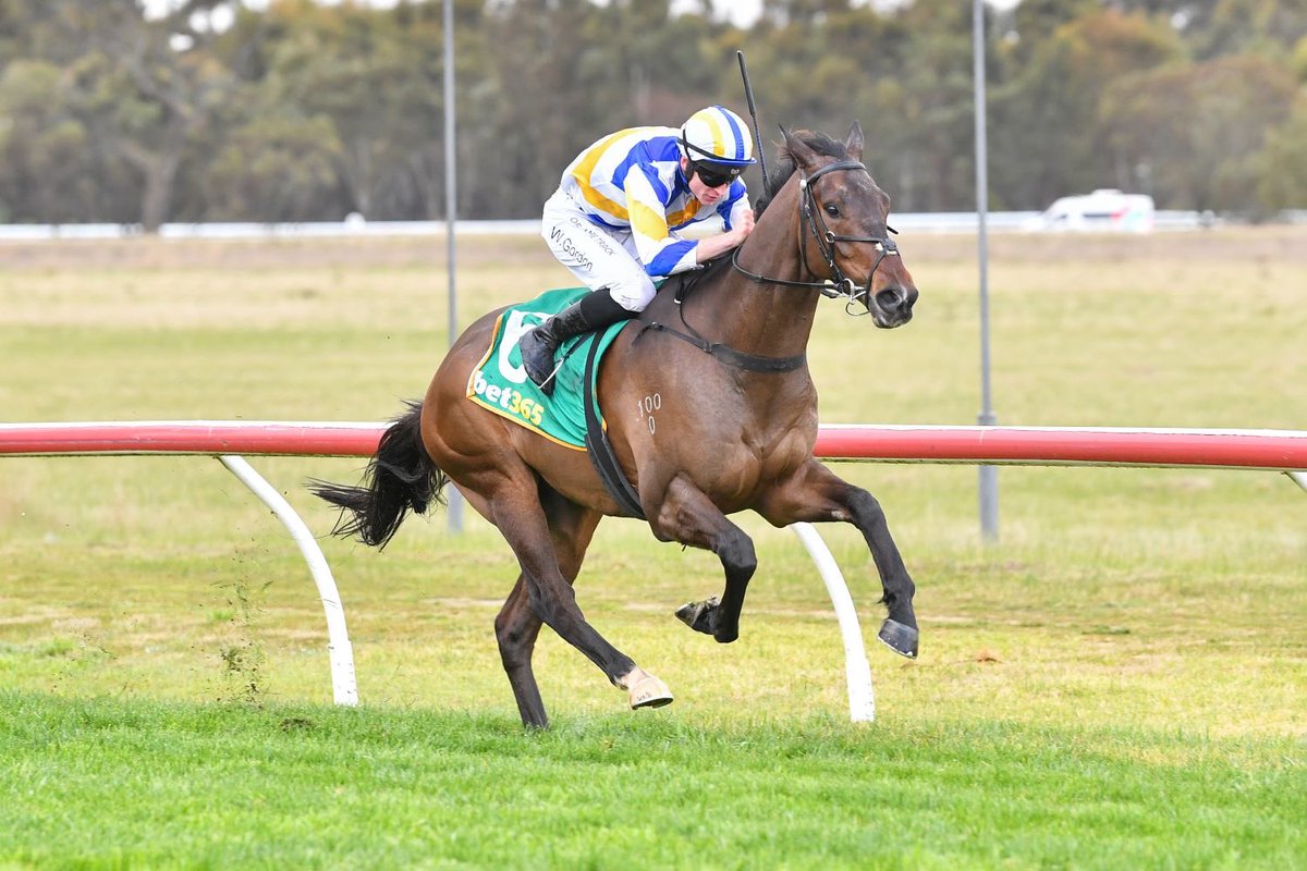 szahraracing's tweet photo. Our stylish son of SACRED FALLS secured his maiden at @MurtoaRacing this afternoon.

SACRED TED loved the fast tempo this afternoon over the 1600m. He has always shown enough at home, but he is still learning his craft. With today being a huge confident boost, we are keen to step him up to some staying trips soon enough! 

Great ride by Will Gordon and huge team effort, with a great team of owners there to cheer him home! 

Congratulations to his ownership group, a real great bunch of people!