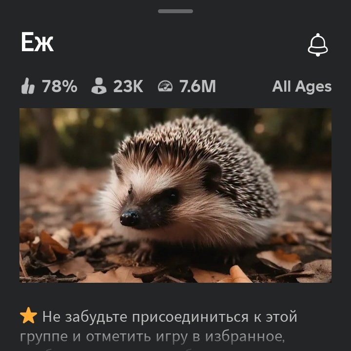 ри не я tweet media