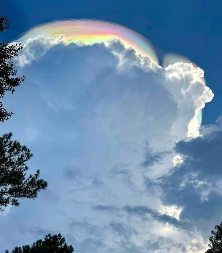 AquariusGate's tweet photo. WOW!! More spectacular LIGHT codes over the skies of Pleasant Hill, Georgetown, South Carolina, USA in July 2024. https://t.co/YqUnG3hWX2