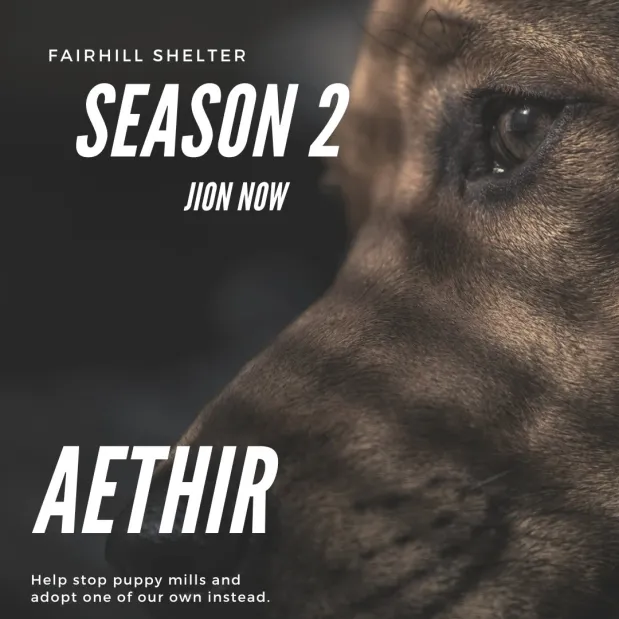 kenna_skyler's tweet photo. Celebrate the arrival of Season 2 on AethirCloud! Dive into exclusive rewards, vibrant community activities, and innovative updates. Join now and embark on an unforgettable adventure.@AethirCloud @AethirEco @AethirCommunity @ericspo29 @imkaru_ #AethiriansVN #aethirSeason2 $ATH https://t.co/rX1oY0CqFf