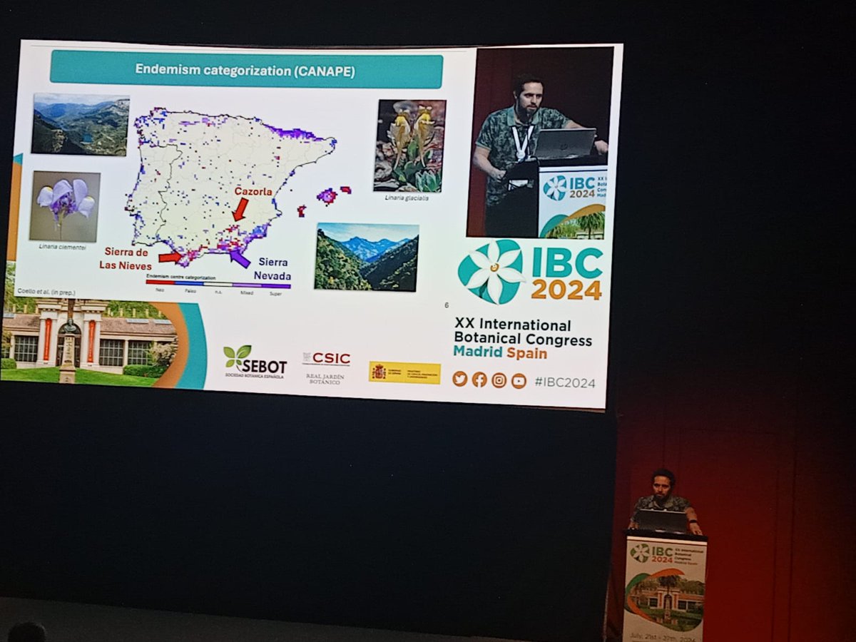 Very happy with the opportunity to talk during the #spatialphylogenetics simposium in the #IBC2024