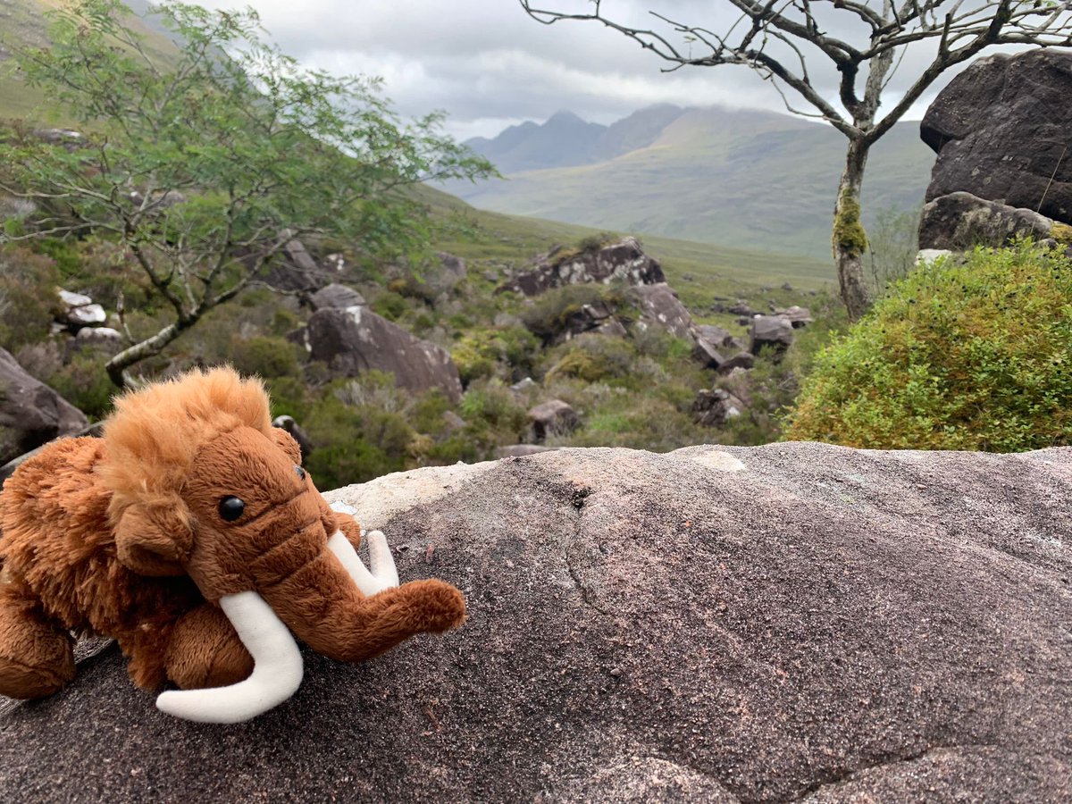 Geography, Environment & Planning at Herts tweet media