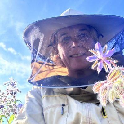 thedorsetbee's tweet photo. #NewProfilePic https://t.co/GQGwDAyt6i