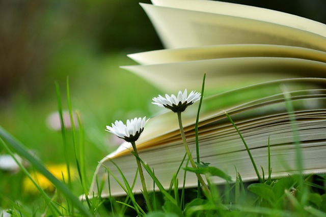uwslib's tweet image. Happy Saturday! Planning a chilled out weekend? We can recommend a good book or two... #leisurereading #Wellbeing   t.ly/9EwsW