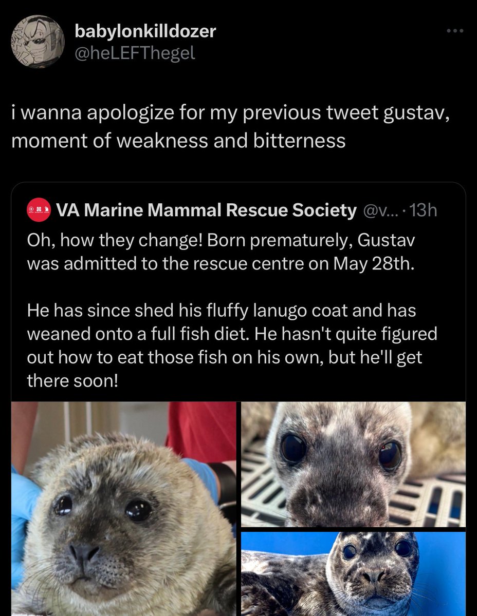 tonydechino's tweet image. #BossCallWasMade