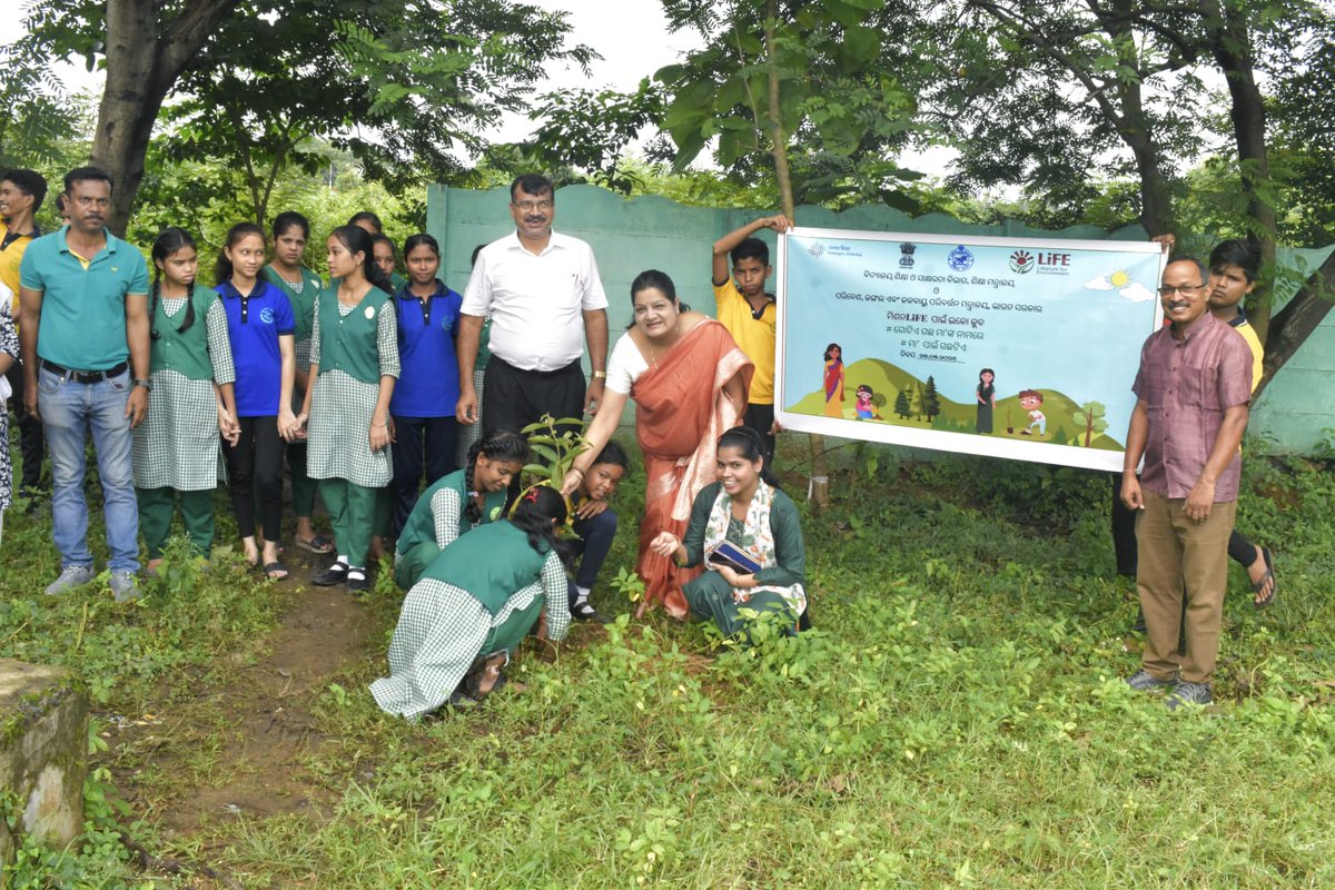 District Education Office, Angul tweet media
