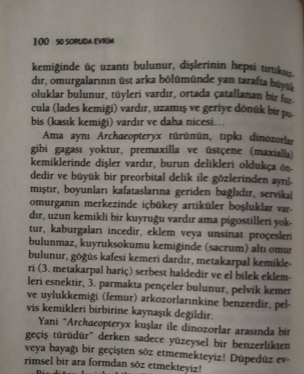lyine02's tweet photo. @Nirzj @Bicero_ @heisenebolu Al bunlar da ara geçiş formu olan Archaeopteyx'in ne olduğu.Kitap:@cagrimbakirci 50 Soruda Evrim https://t.co/L8AUZP4555