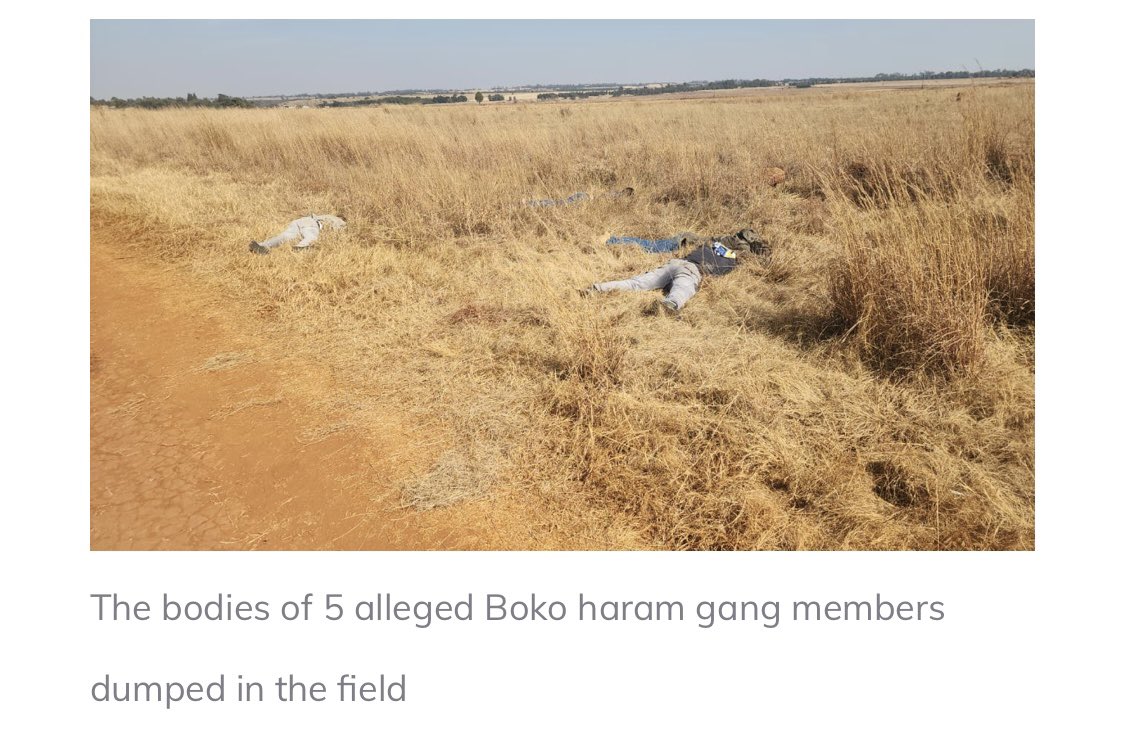Abramjee's tweet photo. Via “Tshwane Talks”

Five alleged Boko Haram bandits were shot and killed in Bronkhorstspruit, Tshwane on Monday. 

The Boko Haram bandits who are believed to be from Mamelodi, reportedly went to a road construction site in Bronkhorstspruit on Monday with an intention to disrupt work on the project and demand a 30% share.

Their dead bodies were later found in an open field in Cullinan. 

It is widely believed that after the altercation they had caused at the construction site in demand for a 30% share in the project, the Boko Haram bandits were abducted on their way home to Mamelodi, tortured and killed before being dumped in an open field in Cullinan.

A statement released by Gauteng SAPS spokesperson Colonel Mavela Masondo reads as follows: 

“Police have opened a case of five counts of murder, after dead bodies of five males were discovered in an open field riddled with gunshot wounds.” 

“The motive for the killing cannot be confirmed at this stage and police are searching for suspects and no arrests have been made yet,” said Masondo.
