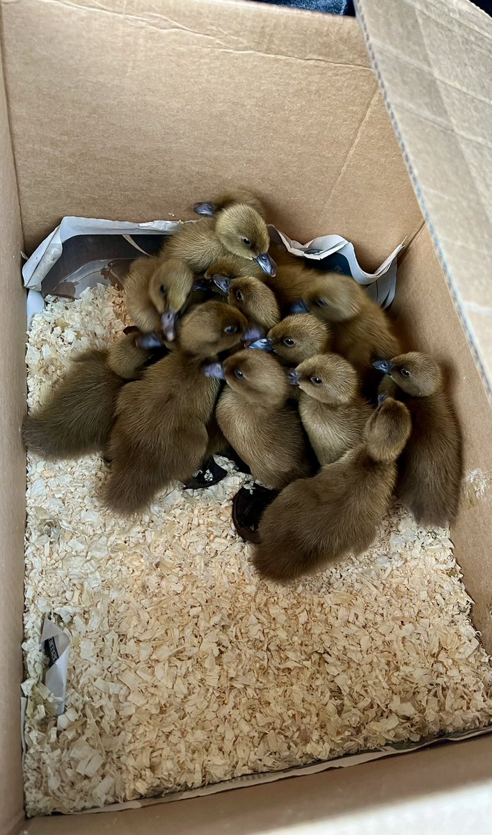 Matthew Wilson tweet media