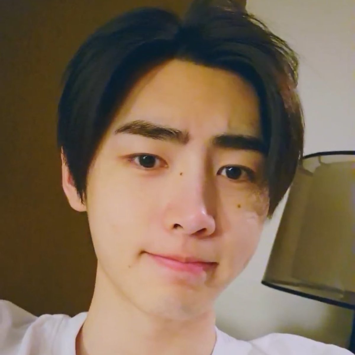 sunghoon looks so soft