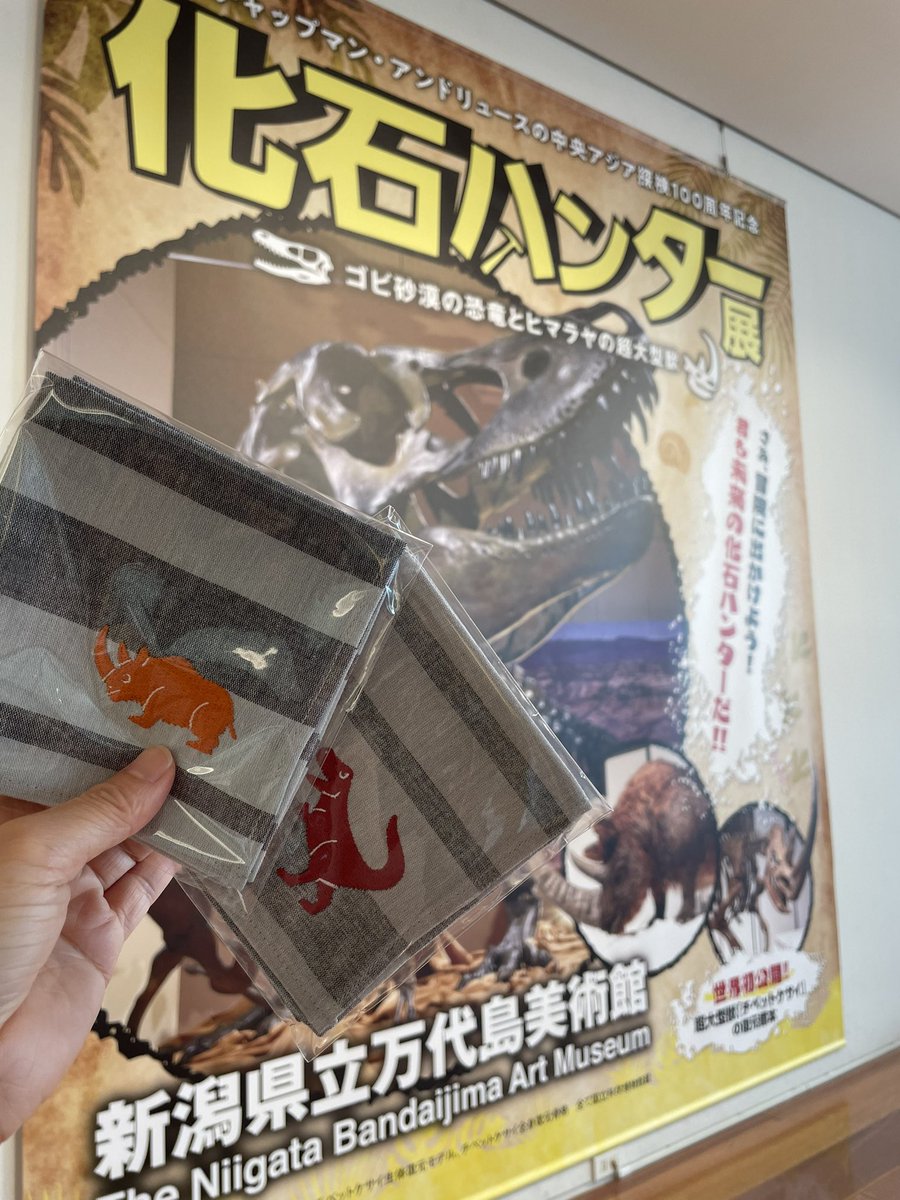 大型化石研究マニュアル GTemIw1agAEcu6A.jpg