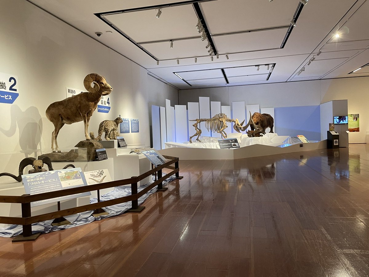 ハンター展 E380-5091-1024x683.jpg