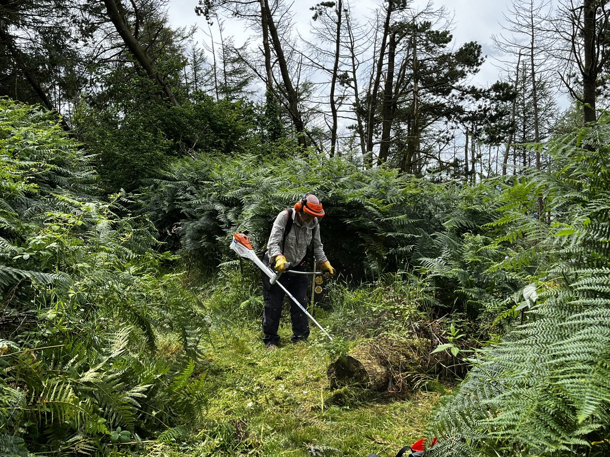 finstumpf's tweet photo. The partnership between @MonCountryside local volunteers and @RamblersCymru saw further path clearance yesterday. It all helps to get people outdoors.
#ThreeCastles 

@visit_mon @VisitAberG @LoveYFenni @LDWA1 @MonmouthshireCC https://t.co/SyE0TKvvlk
