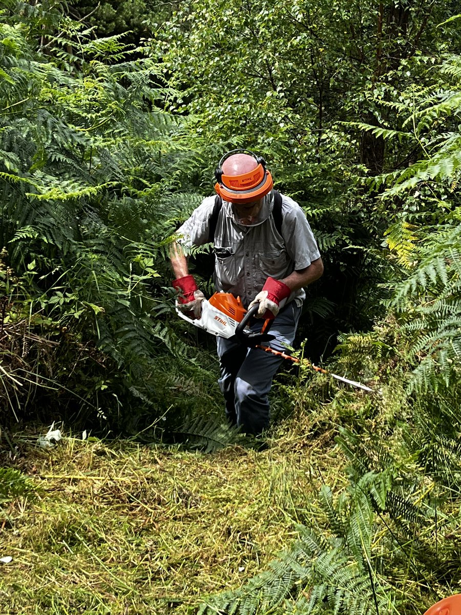 finstumpf's tweet photo. The partnership between @MonCountryside local volunteers and @RamblersCymru saw further path clearance yesterday. It all helps to get people outdoors.
#ThreeCastles 

@visit_mon @VisitAberG @LoveYFenni @LDWA1 @MonmouthshireCC https://t.co/SyE0TKvvlk
