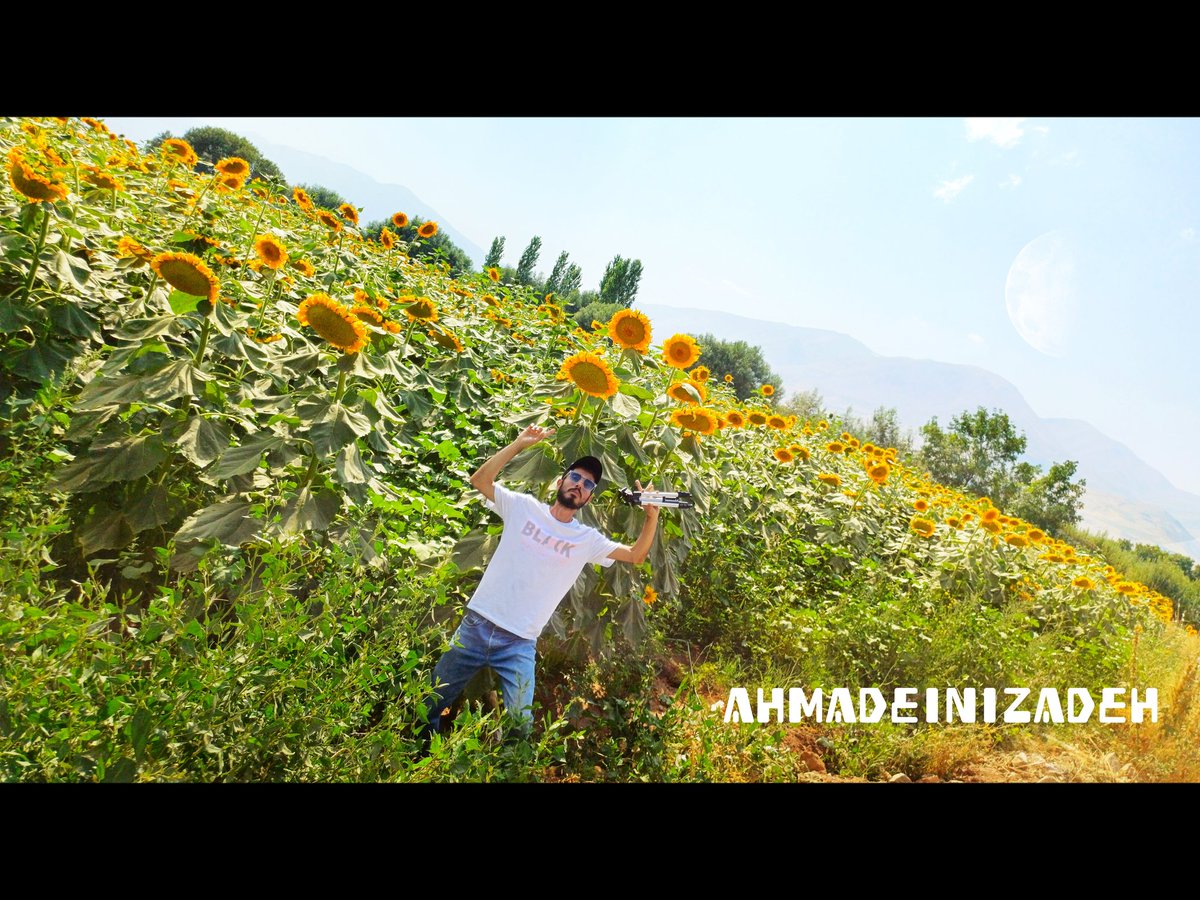 AHMAD_EINIZADEH's tweet photo. #AHMADEINIZADEH #ibodi #wwe #ai #Olympic2024 #Gold #DeadpoolAndWolverine #top #ElonMusk #news #breaking #USA #iran https://t.co/GLImu1RkN9