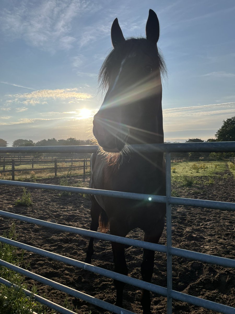 Josefin Sandkvist (@jsandkvist) on Twitter photo 