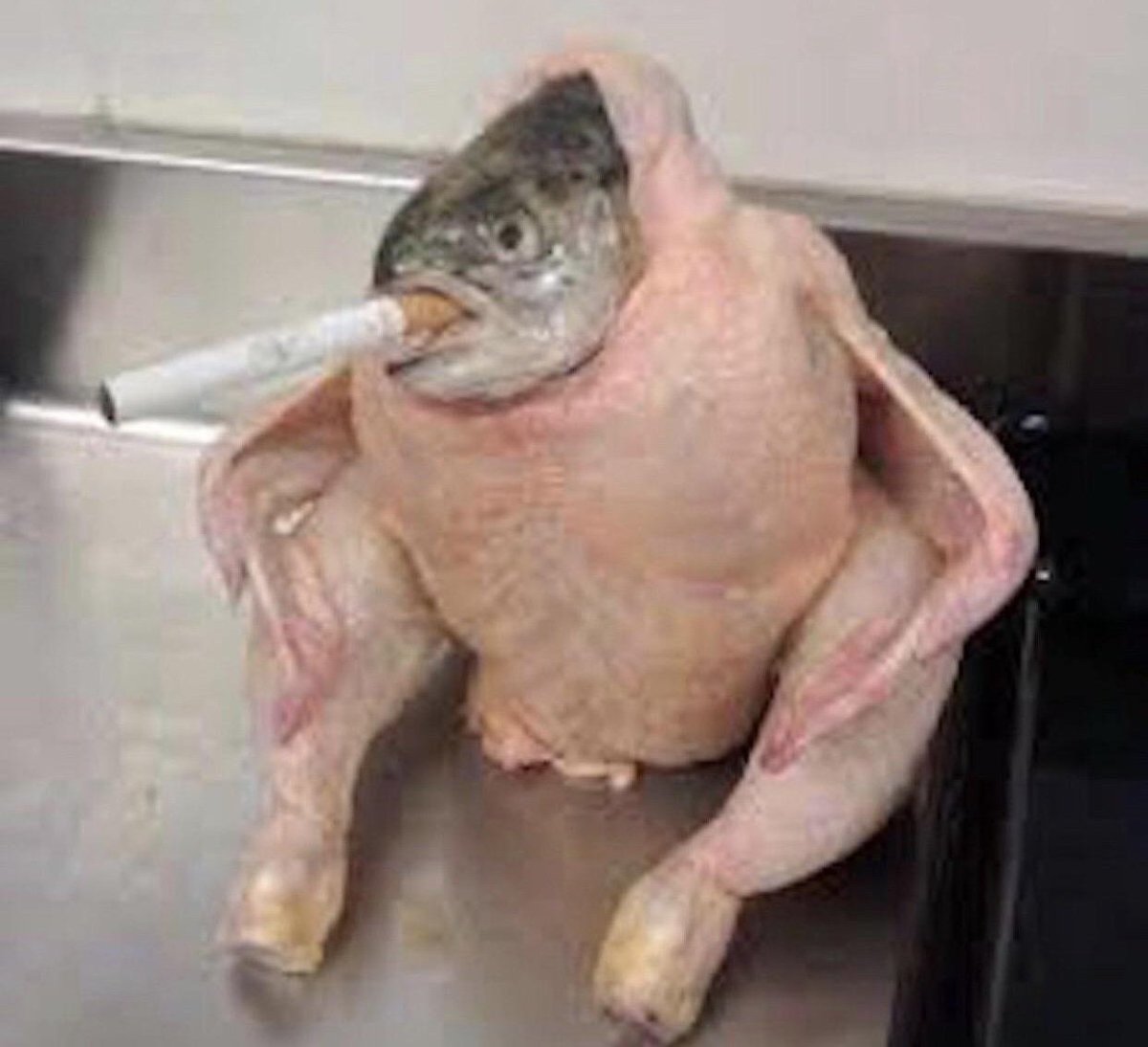 Smoking Fish Chicken $SFC tweet media