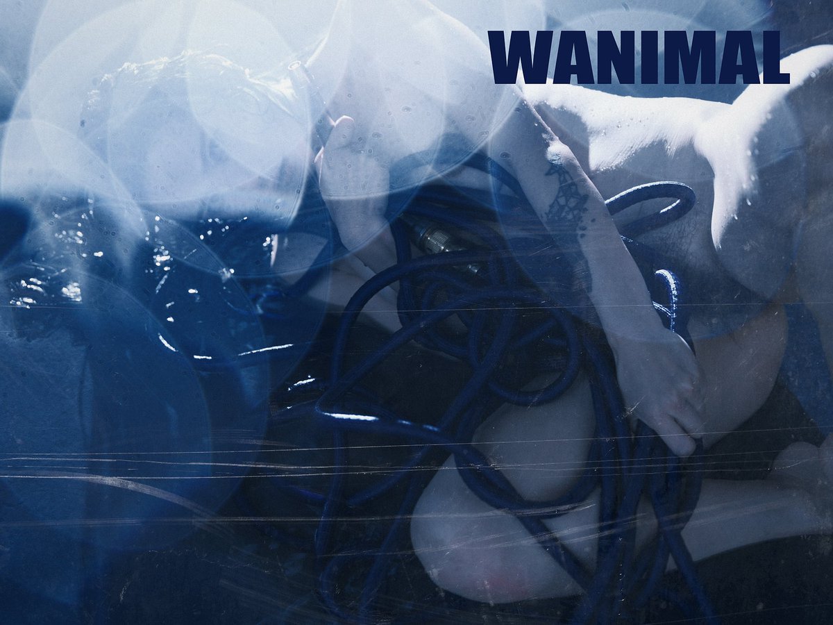 WANIMAL912's tweet photo. 🔷

@183647402Cherry https://t.co/Hh8j1KL7Q7