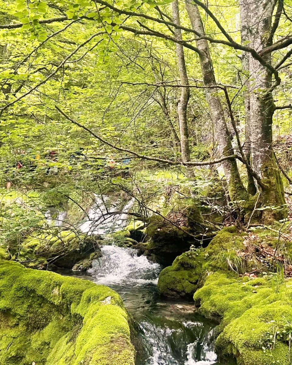 Álava Turismo tweet media