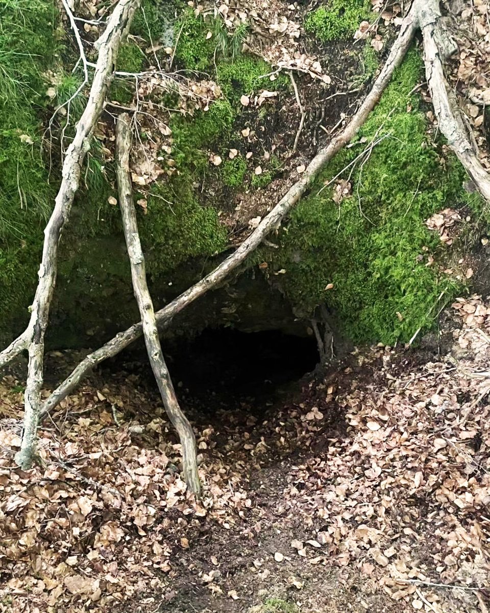 Álava Turismo tweet media