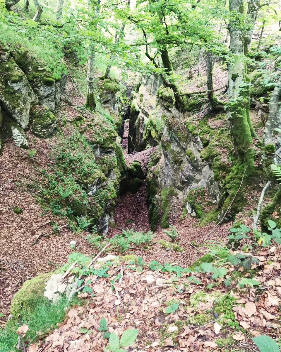 ¡Una ruta muy completa y poco conocida! 👇

En esta ruta se ascenderá a la cima de Ilarratza, también conocido como San Cristóbal. 😍

Ibilbide honetan Ilarratzako gailurrera igoko gara, San Kristobal izenez ere ezaguna. 😍

📍<a href="/Lautur1/">ArabakoLautada</a> 

📸 daniel_rey_rubio