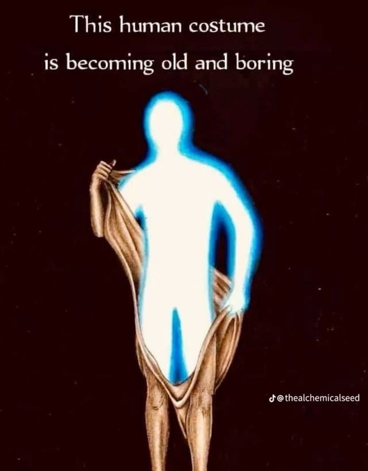 thematrixwizard's tweet image. 