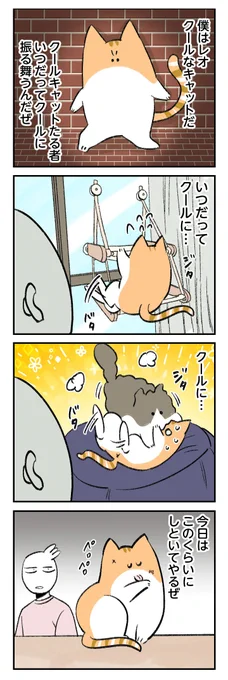 クールドジねこ、レオくん #秀さんちのゆるねこ日記