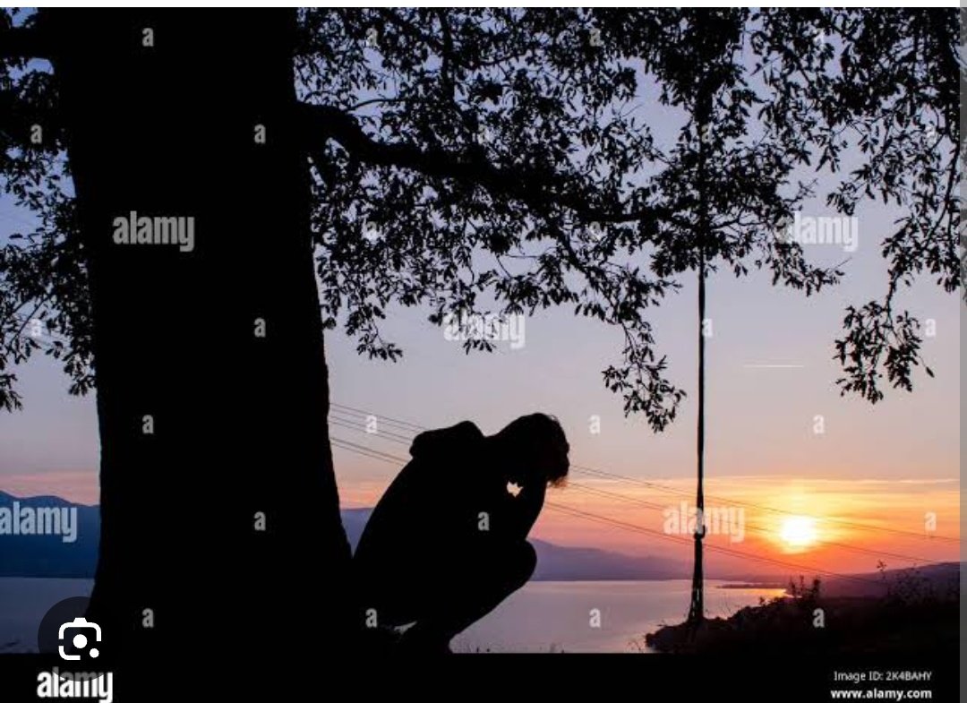 Kavya_Ras's tweet photo. मैं याद आऊँगा जैसे कि याद आते हैं
किसी दरख़्त के साये में दिन गुज़ारे हुए

~आशू मिश्रा
@ashumishra4592 
#Darakht #Shair https://t.co/0IwFv5rBDV