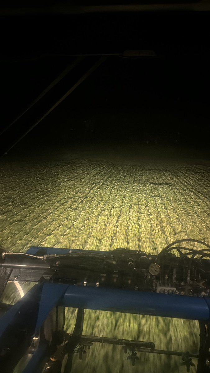 Grayden Mills tweet media