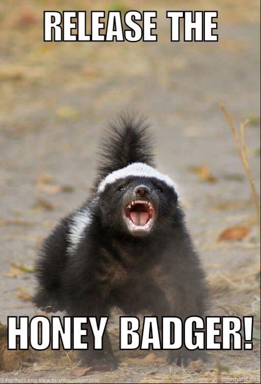 hobadger's tweet photo. Our #PRESALE ends today!!

Still time to get on board what’s destined to be an amazing launch

Ticker: $HOBADGER Total Supply: 111 Million  🦡Chain: SOL 🦡Fairlaunch: 60% 🦡LP:35% 🦡Team: 5% (vested) 🦡Tax: 0/0

https://t.co/LdRJUcnJpv

#POPCAT #SOL #memecoin #launch https://t.co/r4Y7UoIH30