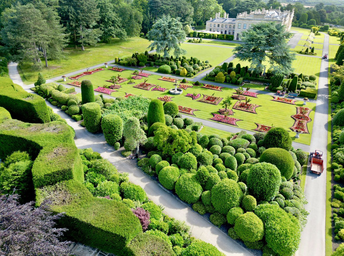 scott merrylees tweet media