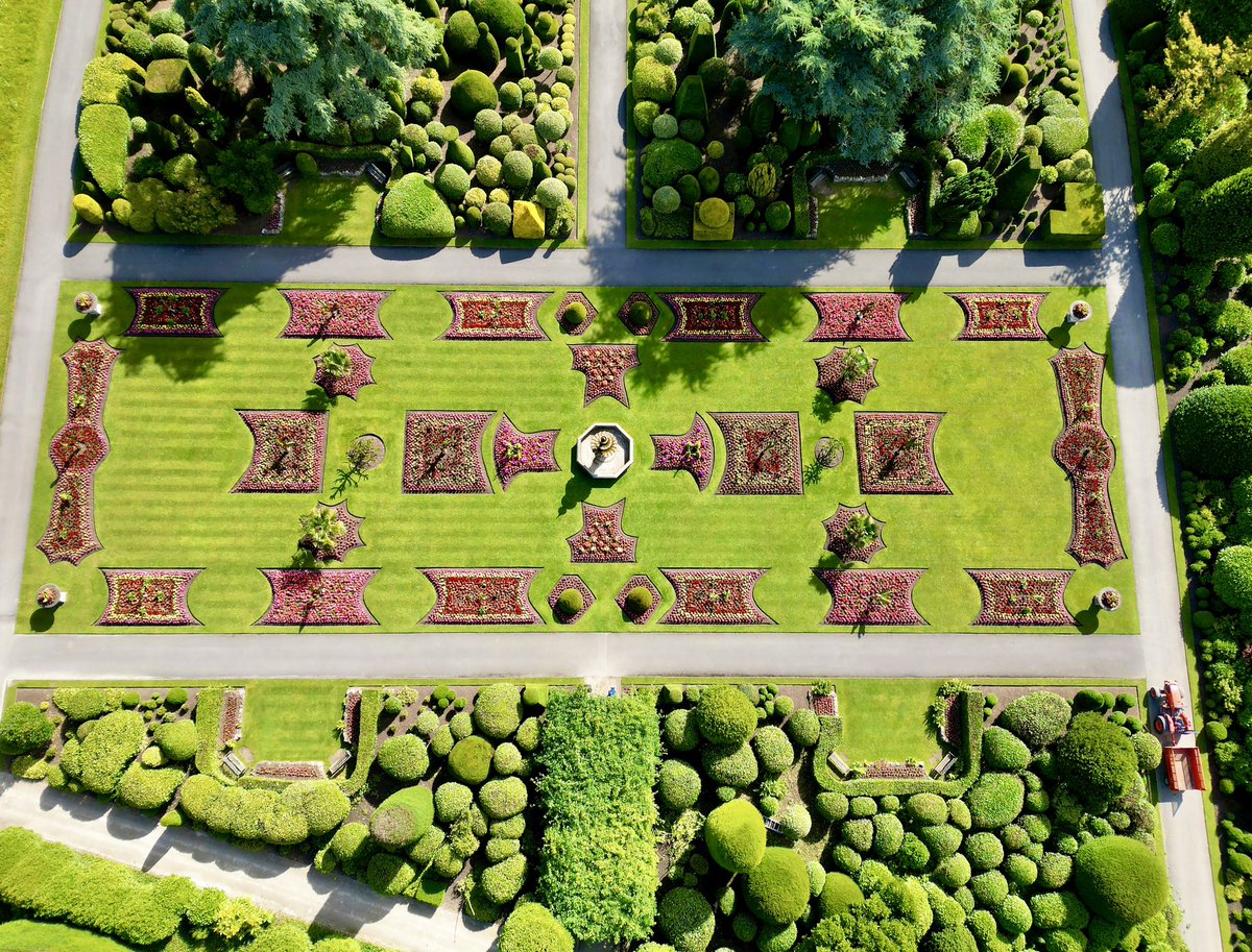 scott merrylees tweet media