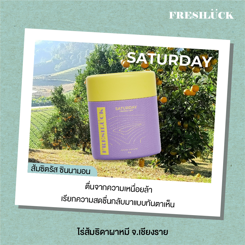 freshluckth's tweet photo. 🍊🪴 วันเสาร์สุดชิล | กลิ่นส้มซิตรัส เปรี้ยวเบาๆ ให้ความสดชื่น ตื่นจากความอ่อม ผสมซินนามอนเล็กๆ หอมนัวๆ แบบไม่รู้ตัว รู้อีกทีก็ติดเธอไม่ไหวซะละ 👃🏻💜

📌 ดมแล้ว เสมือนยืนอยู่ท่ามกลางสวนส้ม แดดอ่อนๆ ตอนเช้า ที่ไร่ส้มธิดาผาหมี จ.เชียงราย 🍊🌳 https://t.co/XH1Vxco3AF