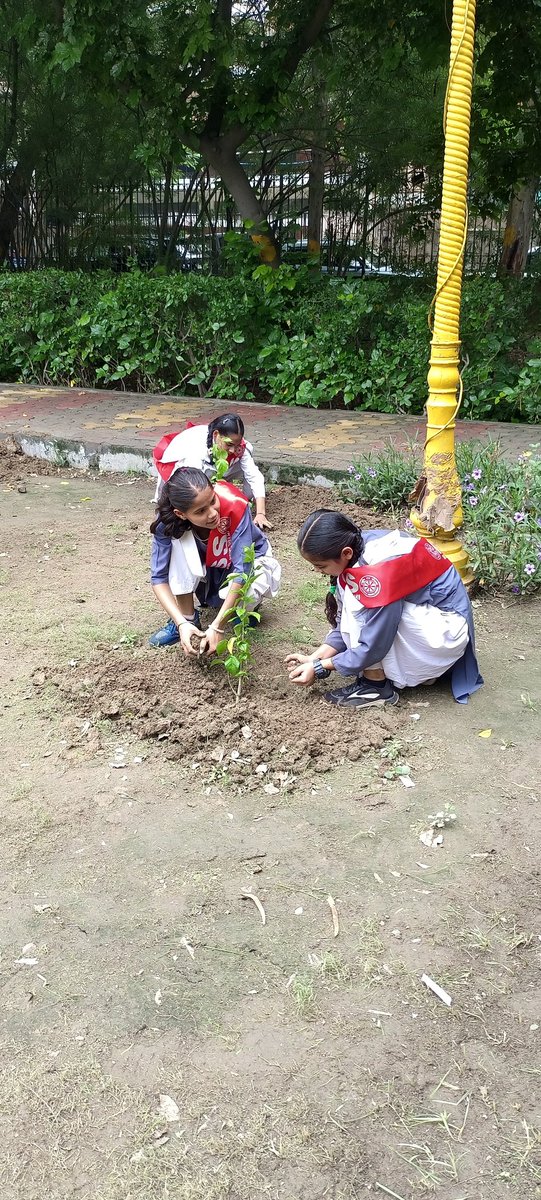 unit_skv's tweet photo. Our volunteers are participated in plantation Drive organised by District Office and Nehru Yuva kendra which is named as"EK PEDH MAA KE NAAM". All are motivated and praised by SDM SIR AND LOCAL LEADERS. https://t.co/verZ9puvqH