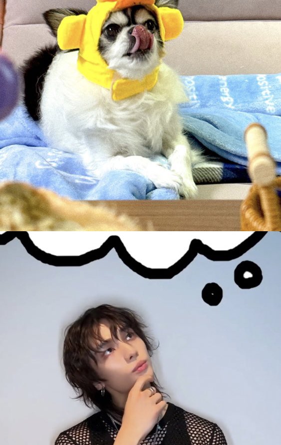윤 tweet media