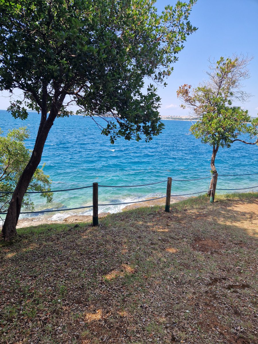 BrackxKris's tweet photo. Salzburg, Bibione, Aquileia, Palmanova, Udine, Venetië, Porec, Ljubljana: Jullie waren geweldig!

#zomerreis2024
#Genieten
#Toppertjes https://t.co/Yhji9PnV4l