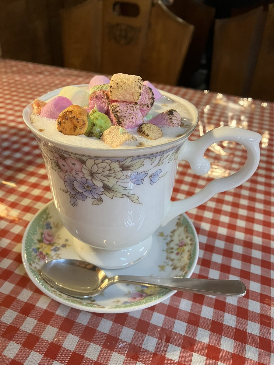 hogushisuto_m's tweet photo. 久しぶりのドイツコーヒー夢🇩🇪

野戦も美味しかったし、
今日のデザートは、
＊ミルクジェラート
＊ゆずとはちみつのロールケーキ
＊コーヒーゼリー
＊バナナシフォンケーキ
と、豪華ラインナップ✨

そしていつものモカデアバ（チョコレートのコーヒー）☕️

楽しい時間はあっという間にすぎます😌 https://t.co/rsvFBev55D