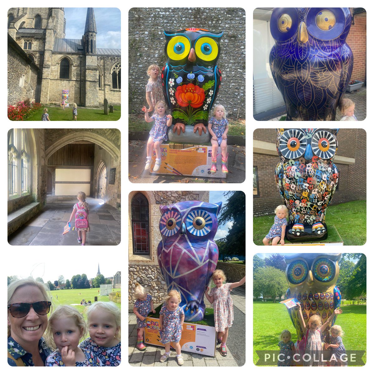 FootieFanMiss's tweet photo. Had a fabulous time yesterday hunting the owls for the @ChestnutOwls Great way to explore the city of Chichester. We still have a few to get and then on to Arundel! #chestnutowls #4for44 #summerholidays #familyfun https://t.co/LzabgzeOac