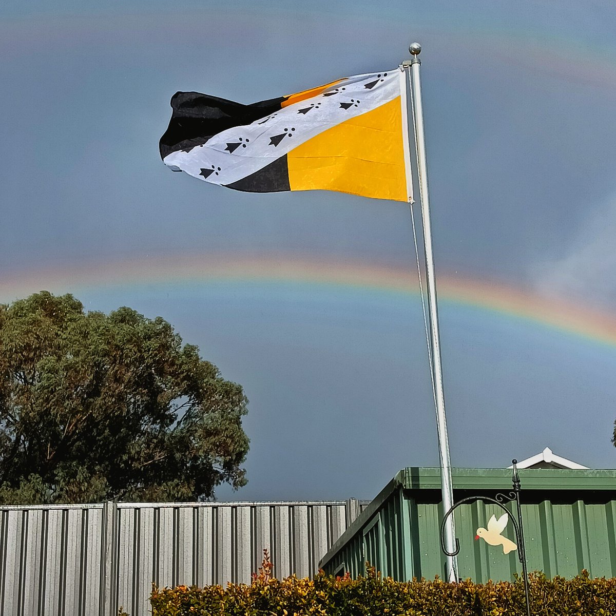 Today is Norfolk Day, so here's the county flag of Norfolk (with bonus rainbow).