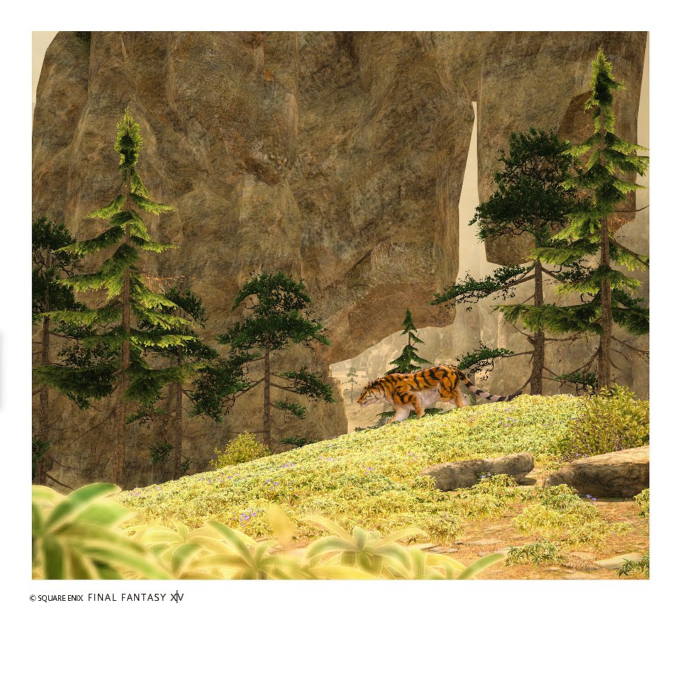 pariszelfora's tweet photo. Yanxia. Feels like a place for Chinese painting!
#ffxiv #finalfantasy14 #squareenix #gpose #yanxia https://t.co/aTF2EYgXo0