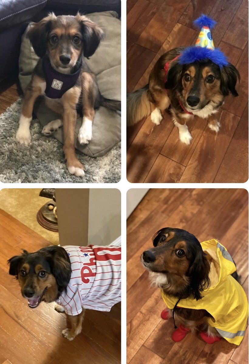 Ryan Dickson tweet media