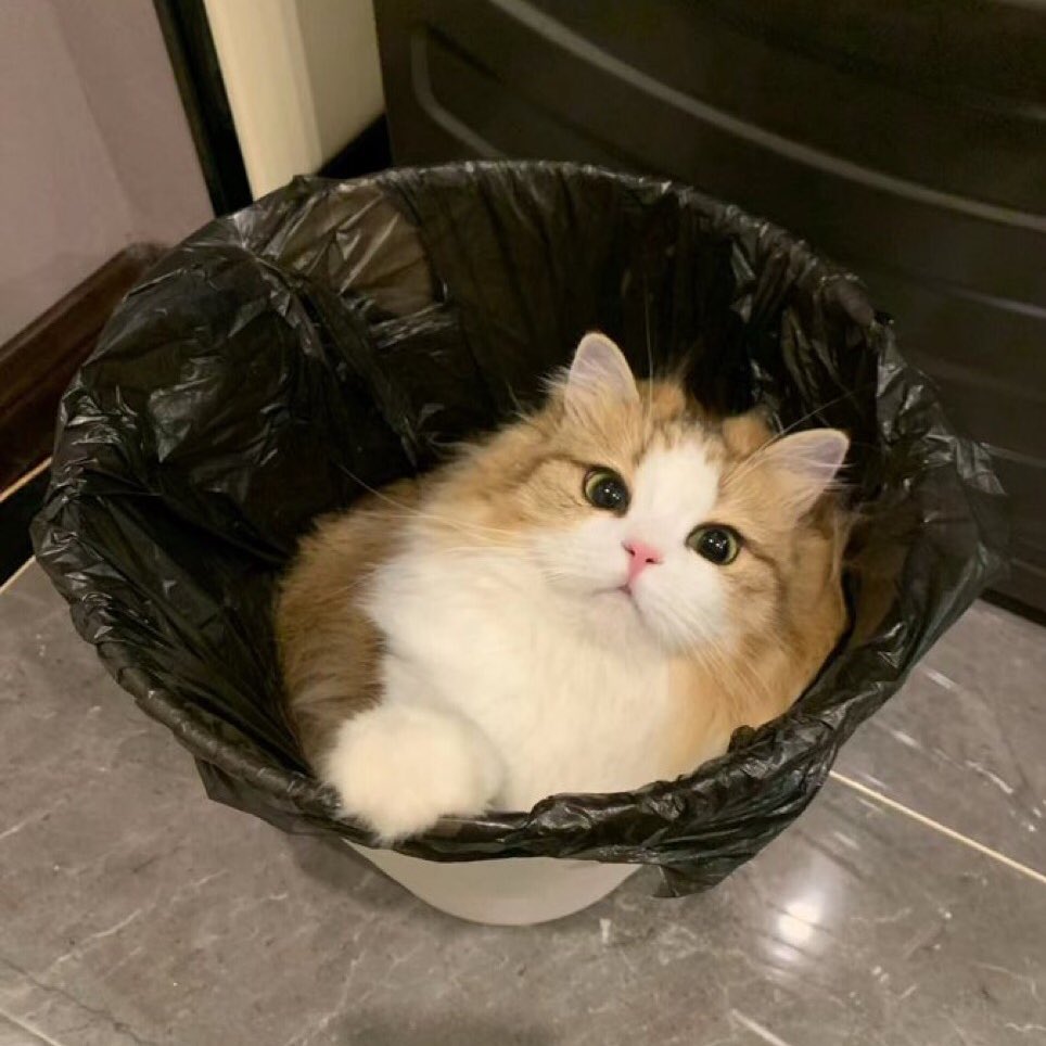 ถ้าดื้ออีก ผมทิ้งคุนจิงๆแน่